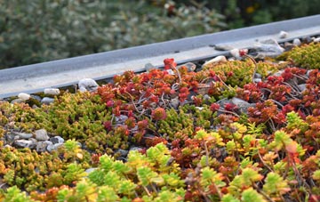the cost of Dubbs Cross green roof installation