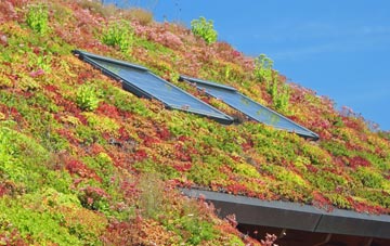 Dubbs Cross living roof systems